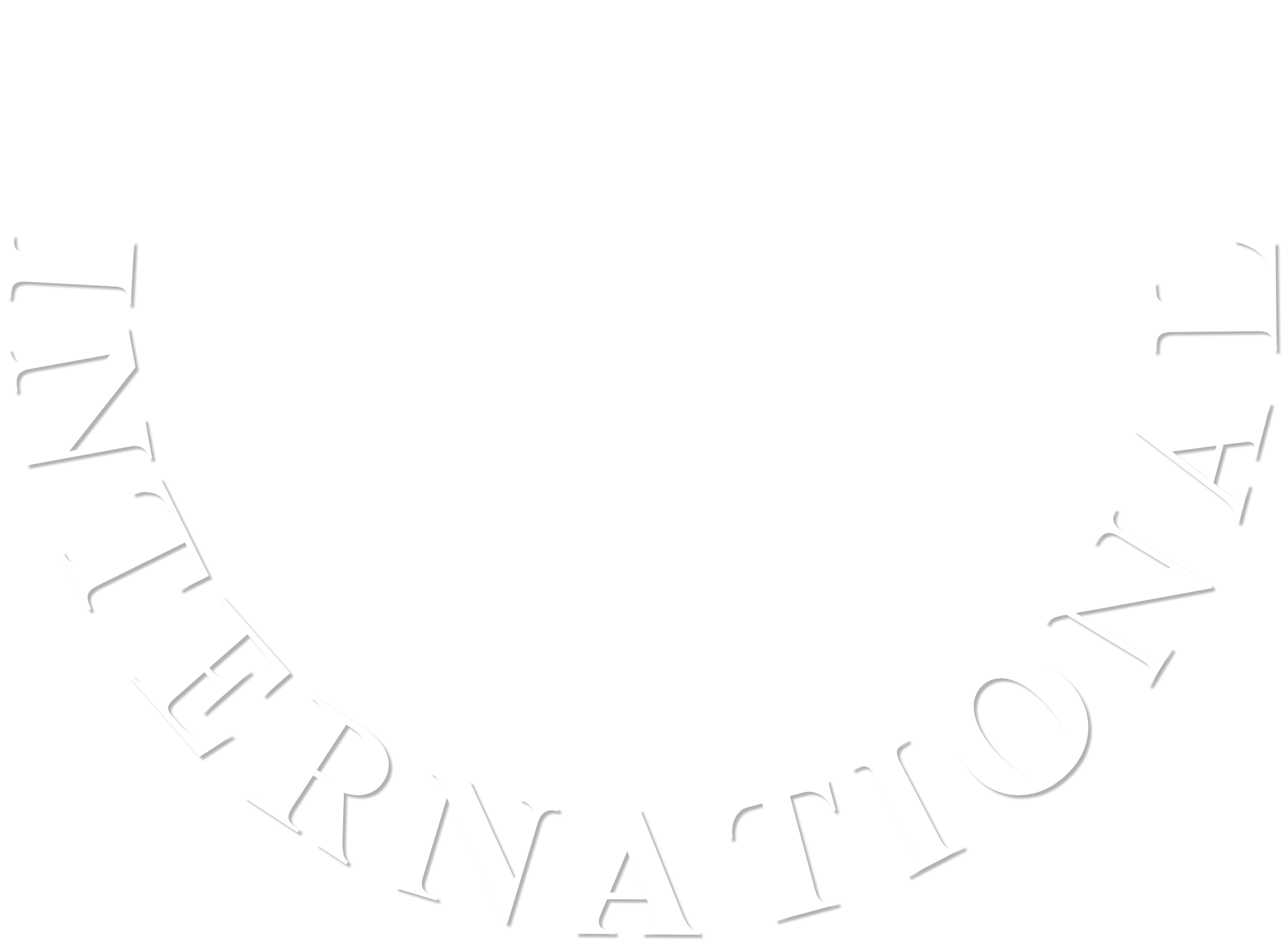 BN International
