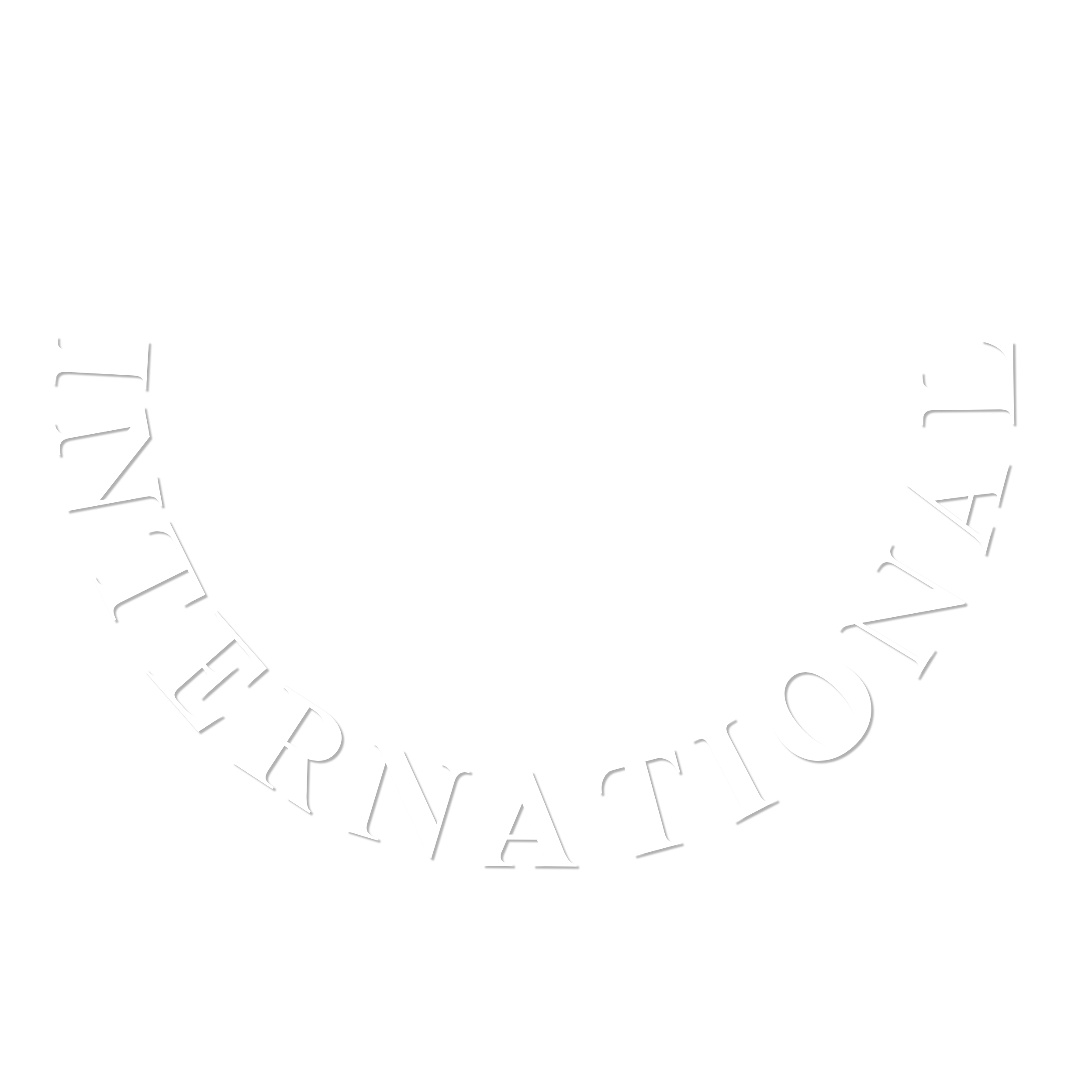 BN International