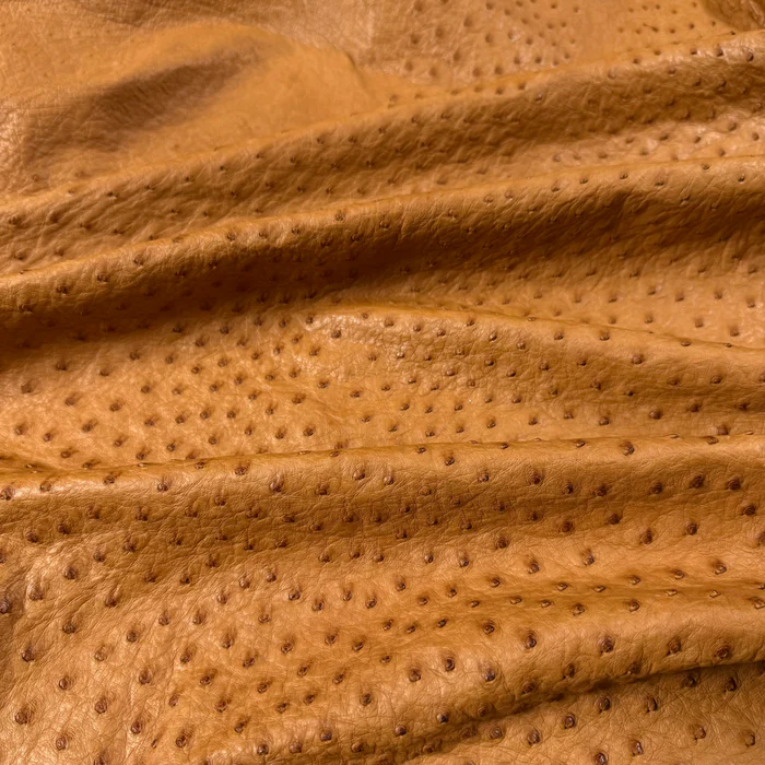 Full Quill Genuine Ostrich, Grade 1 | 7 Colors - Image 3