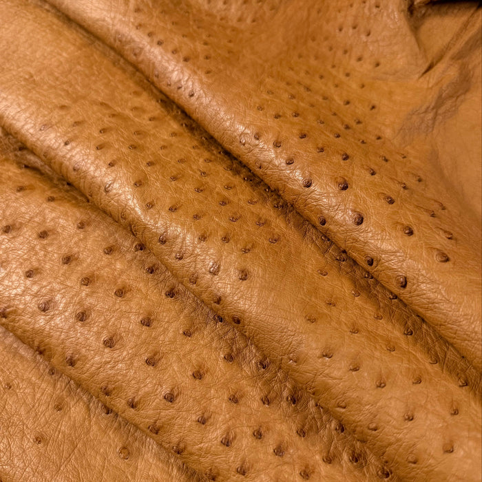Full Quill Genuine Ostrich, Grade 1 | 7 Colors - Image 2
