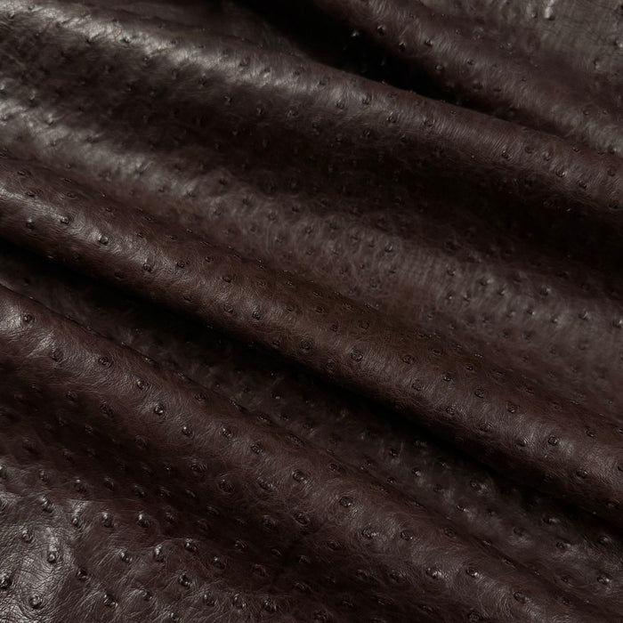 Full Quill Genuine Ostrich, Grade 1 | 7 Colors - Image 9
