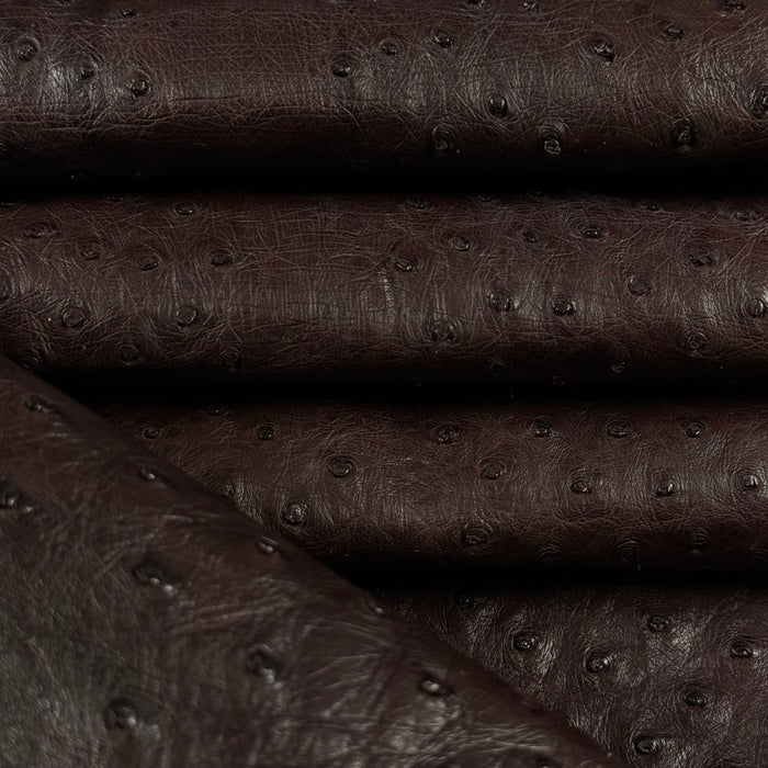 Full Quill Genuine Ostrich, Grade 1 | 7 Colors - Image 10
