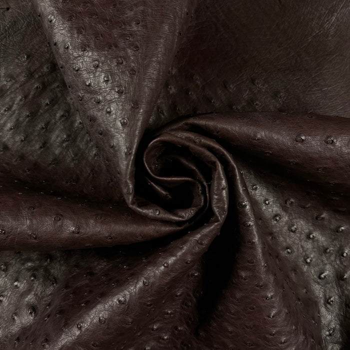 Full Quill Genuine Ostrich, Grade 1 | 7 Colors - Image 8