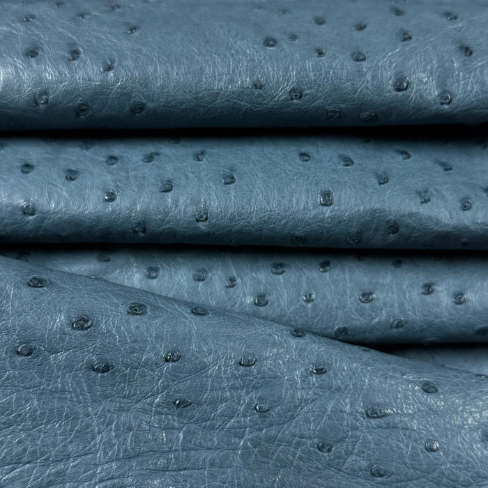 Full Quill Genuine Ostrich, Grade 1 | 7 Colors - Image 16