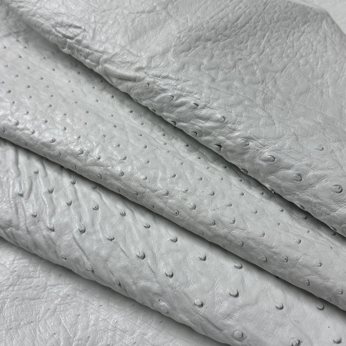 Full Quill Genuine Ostrich, Grade 1 | 7 Colors - Image 24