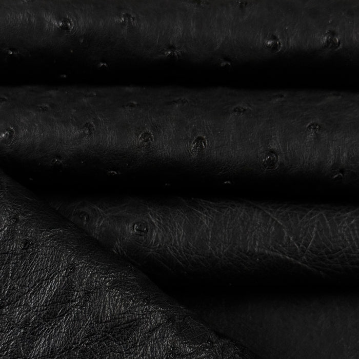 Full Quill Genuine Ostrich, Grade 1 | 7 Colors - Image 11
