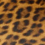 Printed Hair-On Cow Sides, 3 oz  10+ Patterns