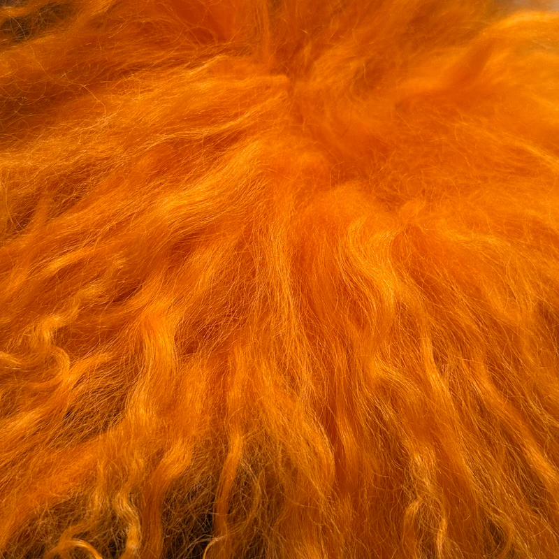 Mongolian Tibetan Curly Lamb Plate 30+ Colors - Image 27